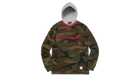 fallback text for an image