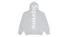 fallback text for an image