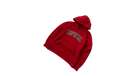 fallback text for an image