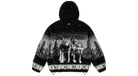 fallback text for an image