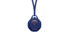 fallback text for an image