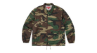 fallback text for an image