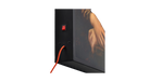 fallback text for an image