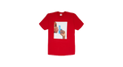 fallback text for an image