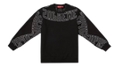 fallback text for an image