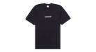 fallback text for an image