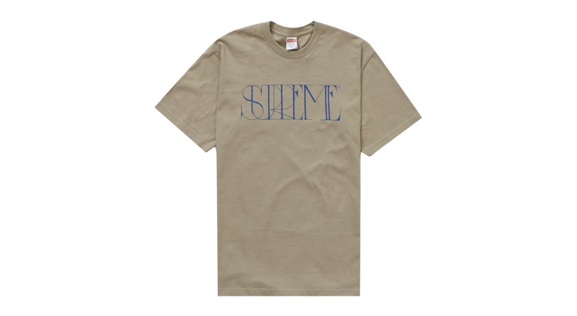 fallback text for an image