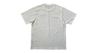 fallback text for an image