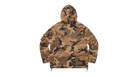 fallback text for an image