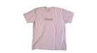 fallback text for an image