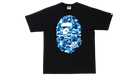 fallback text for an image