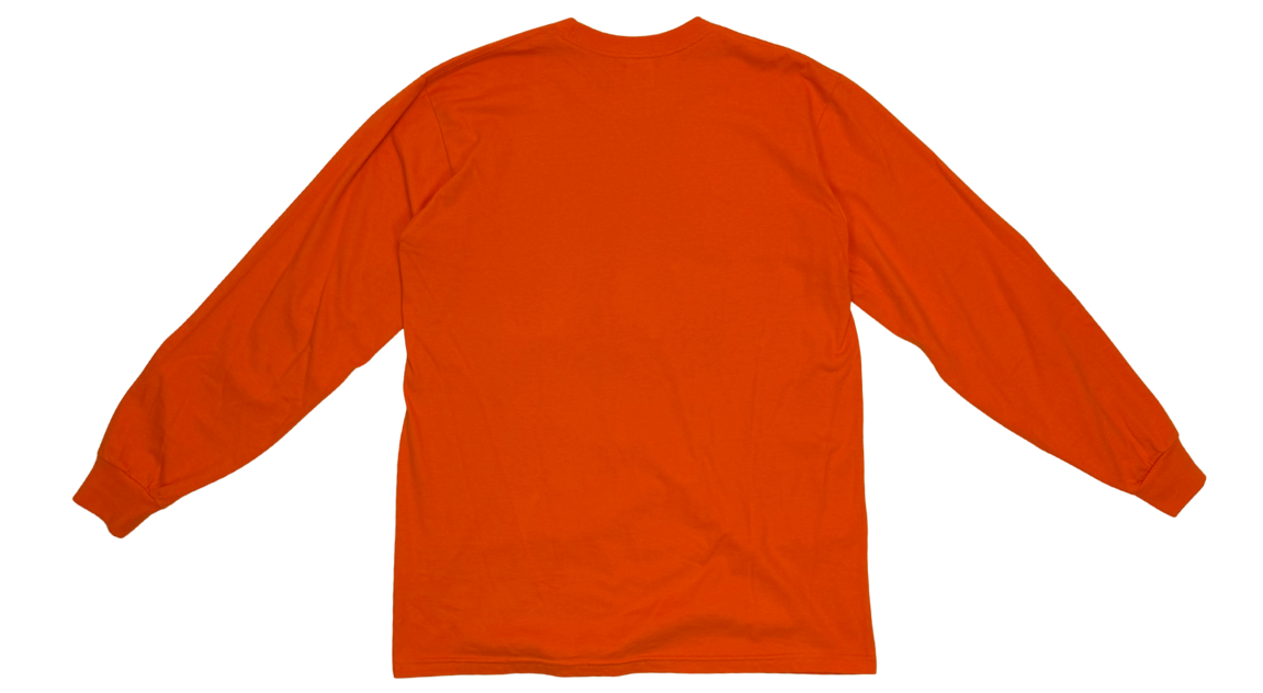 fallback text for an image