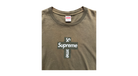 fallback text for an image