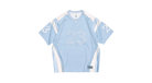 fallback text for an image