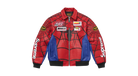 fallback text for an image