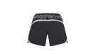 fallback text for an image