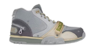 fallback text for an image