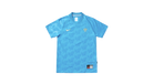 fallback text for an image