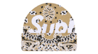 fallback text for an image