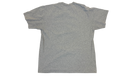 fallback text for an image