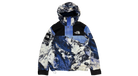 fallback text for an image