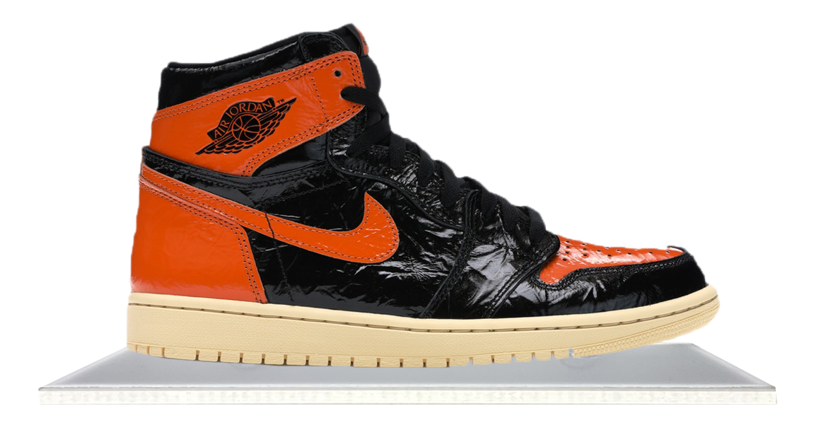 Jordan wearing top shattered backboard 1s